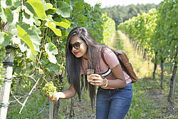 A visit on a vineyard with B.H.M.S. Students